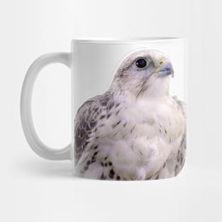 Up Close and Personal with a Stunning Saker Falcon Mug